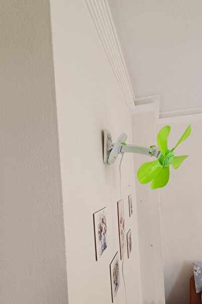 Maestro 5 Kanatlı Masa, Klips Ile Kullanım Veya Duvara Monteye Uygun Akrobat Vantilatör