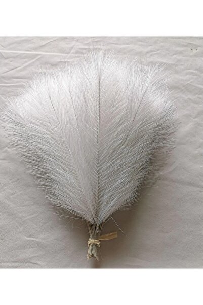 Choice 10 قطع من باقة بامباس المنتفخة من الزهور الاصطناعية - مزهرية لتزيين حف...