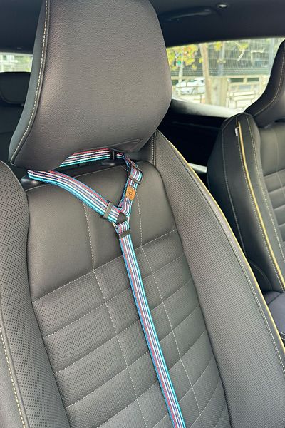 JesPawty Colorful Striped Cat Dog Car Travel Collar - Standard Hooked