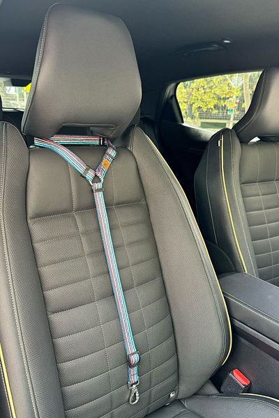 JesPawty JesColorfull Extra Safety Hook Cat Dog Car Travel Collar