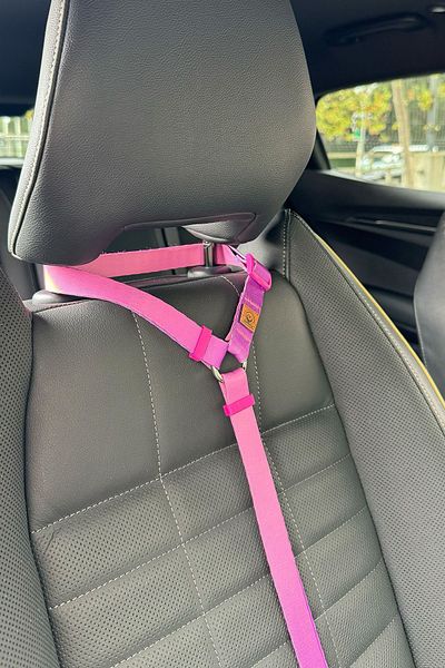 JesPawty Purple-Pink Hook Cat Dog Car Travel Collar - Extra Safety