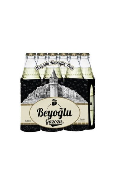 Beyoğlu Gazoz Zencefil 24x250 ml
