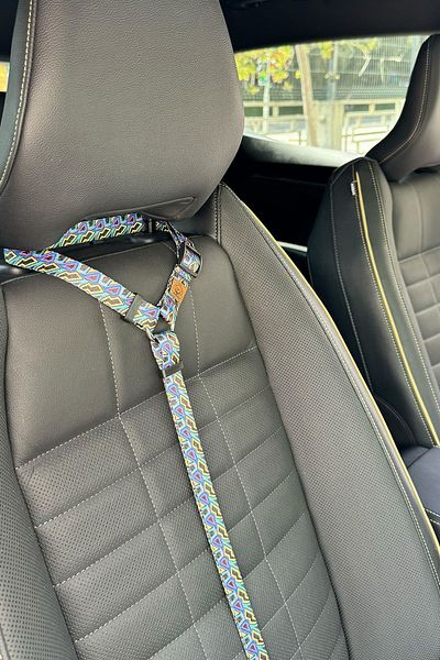 JesPawty JesBlue Extra Safety Hook Cat Dog Car Travel Collar