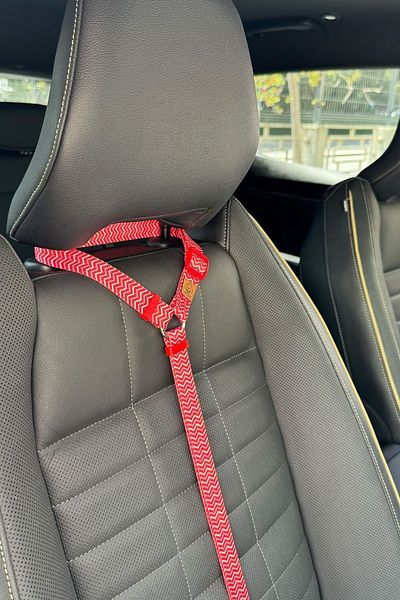 JesPawty JesRed Extra Safety Hook Cat Dog Car Travel Collar