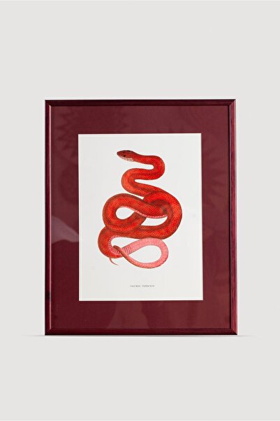 Serpent Serisi Tablo No:2
