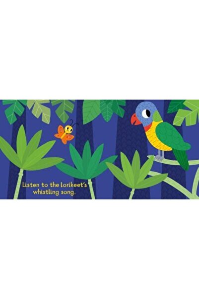 Nosy Crow Listen to the: Birds From Around the World