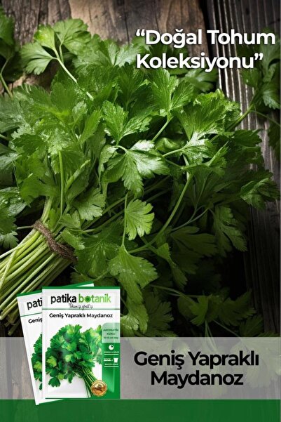 Patika Botanik 5000 Adet Geniş Yapraklı Maydonoz Tohumu