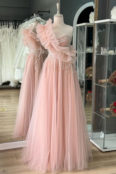 Lenta Moda Powder Interchangeable Collar Detailed Embroidered Lace Covering Maxi Length Tulle Evening Dress and Evening Dress