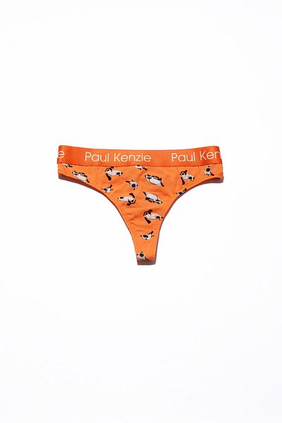 Paul Kenzie Saving House Patterned Siamese Women's String Panties