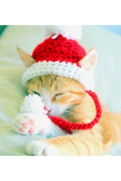 Homestar Yılbaşı ,büyük Boy Yetişkin Kedi Boy,noel Baba Kedi Şapkası & Kedi K...