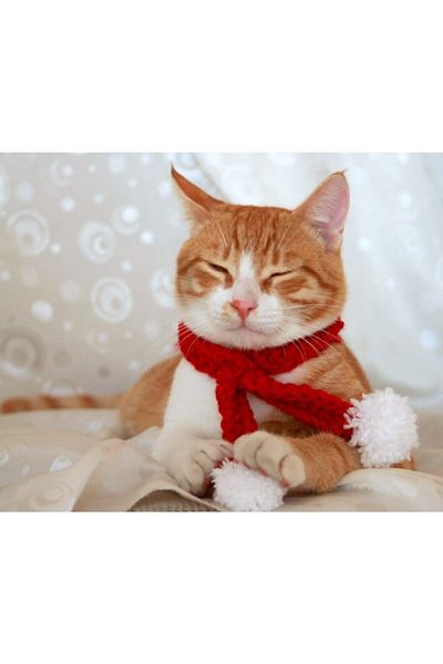 BurDen Dekoratif Ürünler & Tasarım White Pompom New Year's Scarf & Cat Collar & Accessories, New Year's Special, Christmas Scarf, Christmas, Red