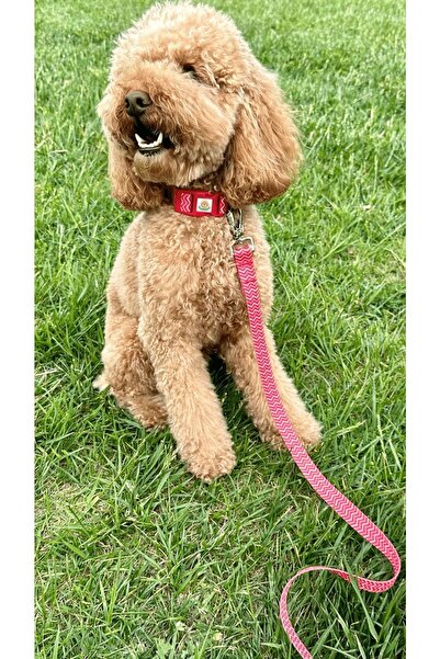 JesPawty Kırmızı Desenli Gezdirme Tasması / Kayışı Ekstra Güvenlikli Kilitli Sistem