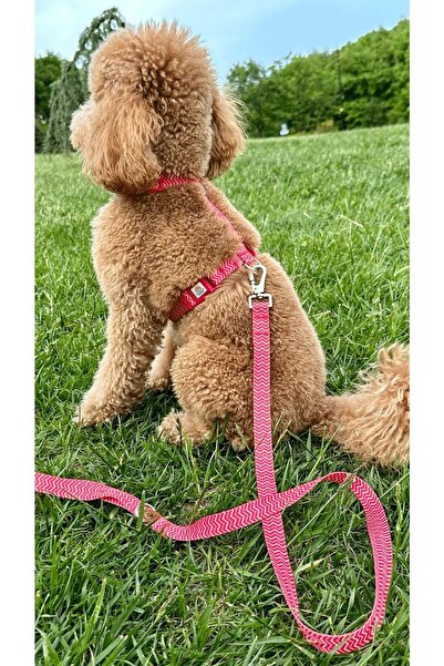 JesPawty Kırmızı Desenli Gezdirme Tasması / Kayışı Ekstra Güvenlikli Kilitli Sistem