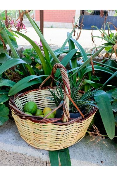 AYDOĞDU Mini Picnic Basket - Cane Hand Knitted Organizer