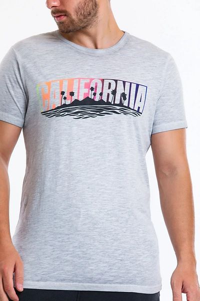 Superfly Ανδρικό T-Shirt σε γκρι χρώμα - 21607-05