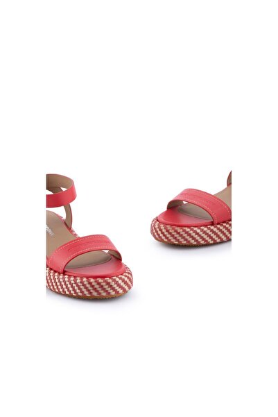 Emporio Armani Women's Normal Base Strap Lace Buckle Beige Sandal X3P784 XN268-COR/BEIGE