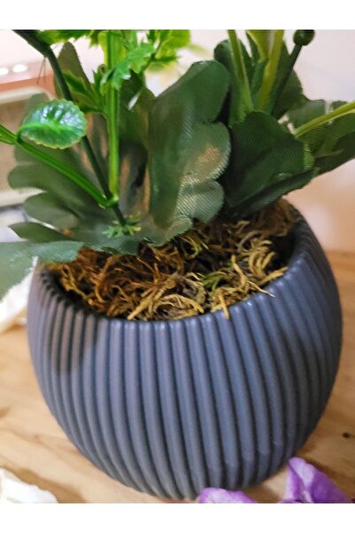 La bella bazar Realistic Look Artificial Flower with Moss in Pot Medium Size 3Dallı in Pot