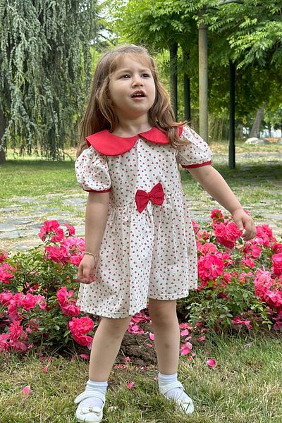 Baby Animals Baby Girl and Child Dress - for Birthday and Party Wedding, Short Sleeve Dress with Lace and Lining