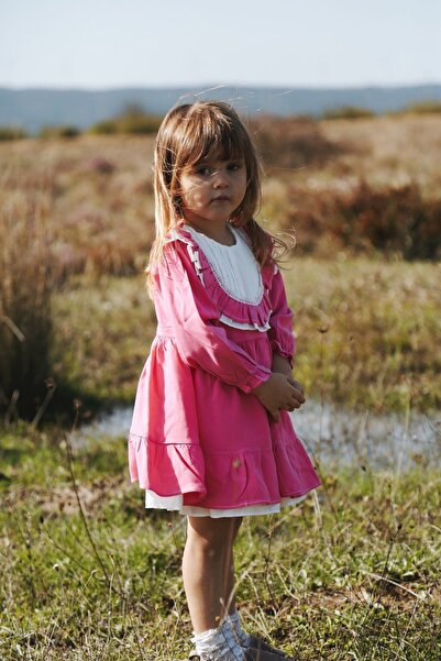 Baby Animals Bebek Kız Çocuk Doğum Günü Parti Düğün Elbise Astarlı Çocuk Giyim bebek giyim Kız Elbroba