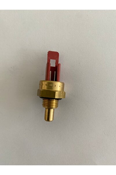 Protherm Kombi Ntc Sensör 1 Adet
