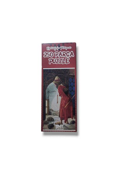 Pembe Pasaj 250 Piece Puzzle Turtle Trainer