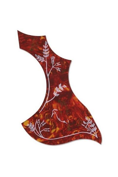 Raymond Joes Pg169 Guitar Pick Guard - Pickguard