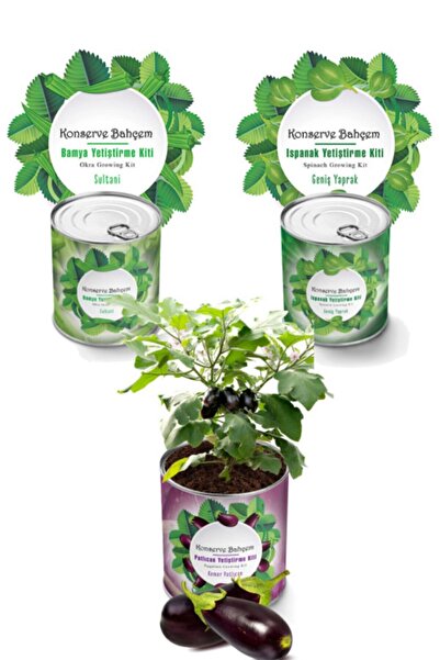 Eggplant Okra Spinach 3 Vegetable Growing Kit - Seedling Vegetable Seed and Peat Set