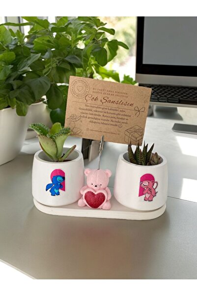 Perazayn Sevgili çıkartma saksı - kalpli ayıcık not - fotoğraf tutuculu hediy...