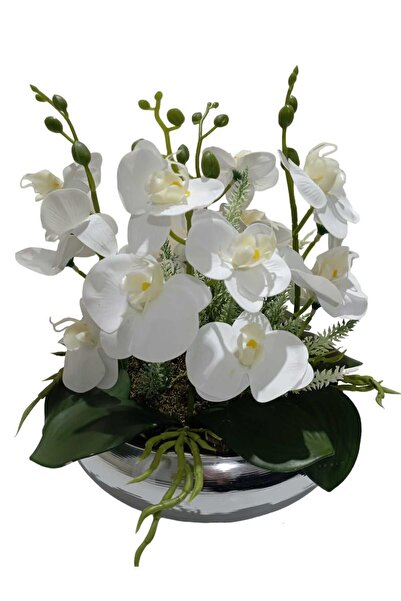 Cennet Home Dörtlü orkide aranjman lüks gümüş metal saksıda lavanta yapraklı ...