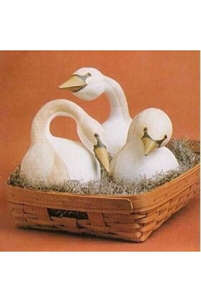 Tohum Dünyası 5 Adet Kuğu Şeklinde Su Kabağı Tohumu