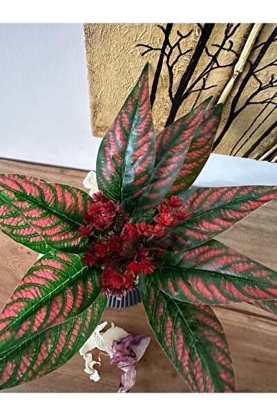 La bella bazar Saksılı Yapay Çiçek Dekoratif Masa Balkon Çiçeği Doğal Taş Yosunlu Masa Üstü Dekorasyon