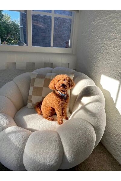 S Home Design Concept Pumpkin Teddy Beyaz Peluş Berjer