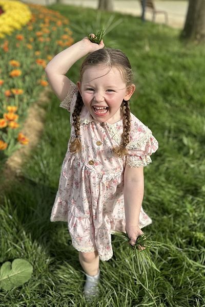 Baby Animals Baby Girl Dress Girls' Dress Birthday Party Wedding Dress Tulle Short Sleeve Lined Dress