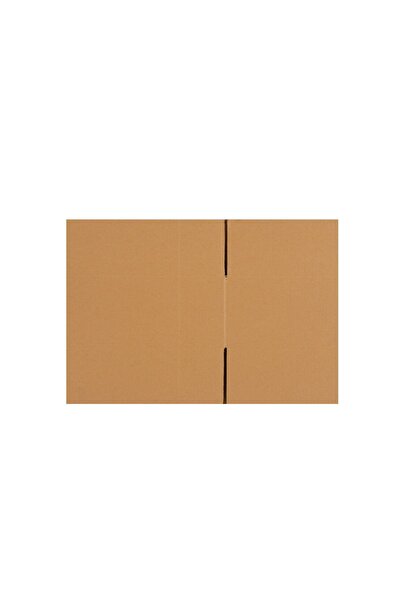 Packanya 30x23x23-10 Adet Tek Oluklu Taşıma Kolisi