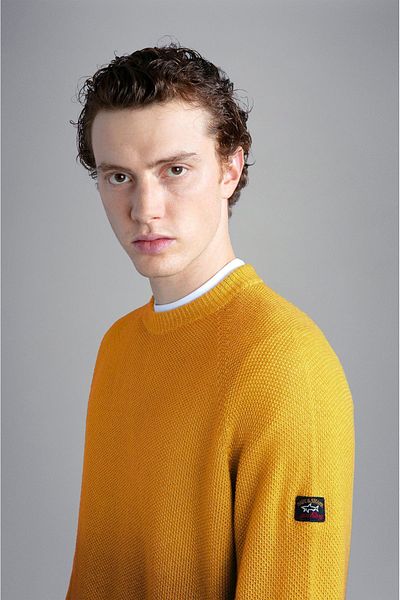 PAUL&SHARK Men's Long-sleeved Daily Use Regular-fit Yellow Sweater13311099-157
