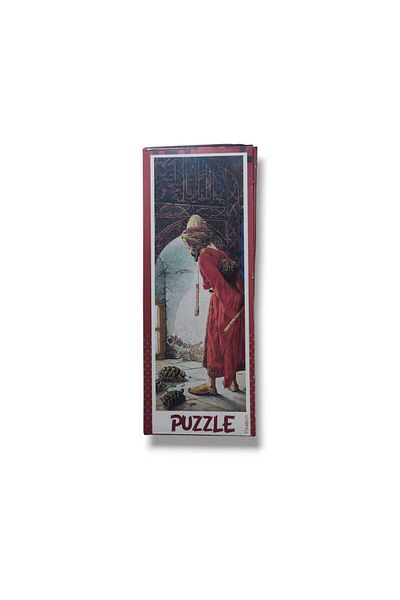 Pembe Pasaj 250 Piece Puzzle Turtle Trainer