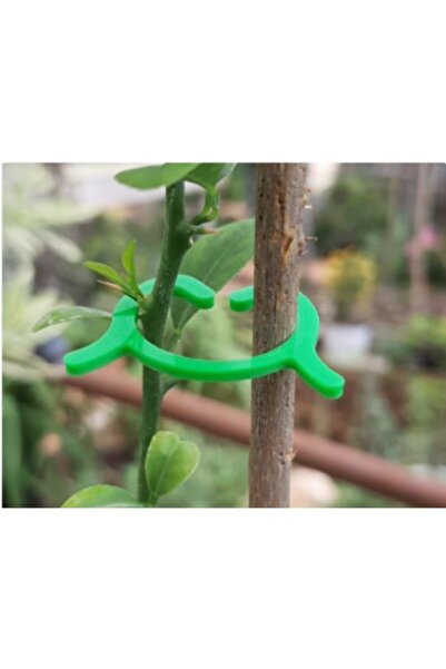 artıdörtaksesuar Fide Klips Tutucu(20) Li