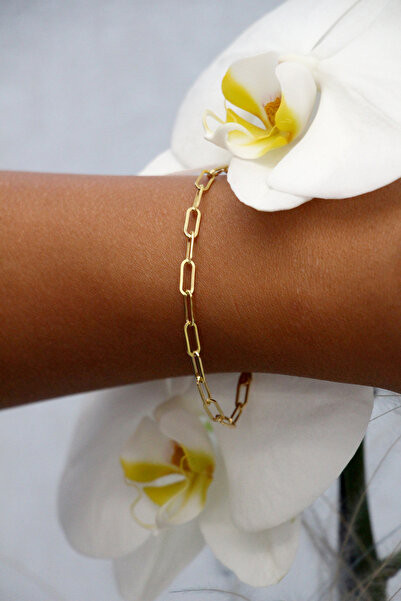 N GOLD 14 Ayar Altın Ataş Bileklik 3 Mm