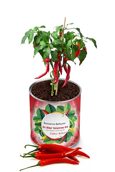 Hot Pepper Growing Kit - Vegetable Seedling Growing Kit Hot Pepper Seed And Peat Set