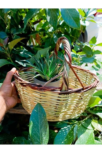 AYDOĞDU Mini Picnic Basket - Cane Hand Knitted Organizer