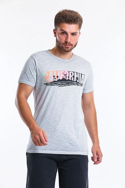 Superfly Ανδρικό T-Shirt σε γκρι χρώμα - 21607-05