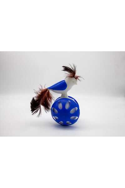 FABYAN Wheeled Haciytatmaz Comfortable Shoes