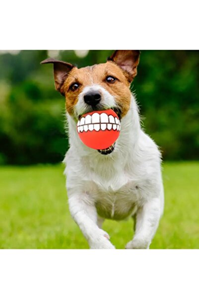 KuantumHome Köpek Sesli Oyuncak Diş Tasarımı, Dayanıklı Çiğneme Dişleri Öğütme ve Temizleme Topu