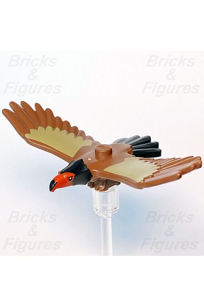 Lepin Eagle Eagle - تصميم أنيق ومريح