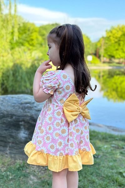 Baby Animals Baby Girl and Child Dress - for Birthday and Party Wedding, Short Sleeve Dress with Lace and Lining