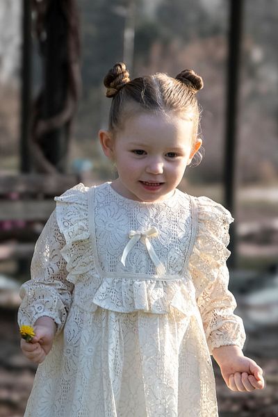 Baby Animals Baby Girl Dress Girls' Dress Birthday Party Wedding Dress Long Sleeve Lined Ruched baby giyi