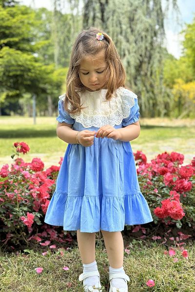 Baby Animals Baby Girl and Child Dress - for Birthday and Party Wedding, Short Sleeve Dress with Lace and Lining