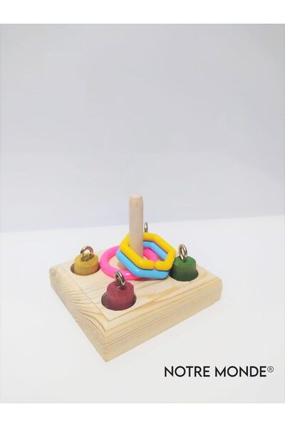 notre monde Notremonde Papağan Çoklu Zeka Oyunu