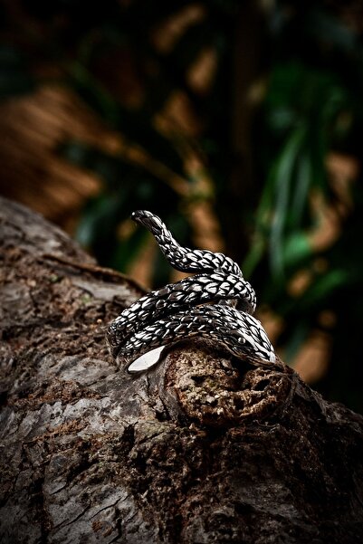 EbrarTesbihGümüş Yılan Gümüş Yüzük 925 Ayar Gümüş Yılan Figürlü Taşsız Erkek ...