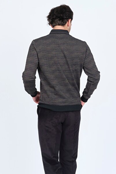 Raymons Erkek Desenli Polo Yaka Triko Sweat 6782252 Vizon